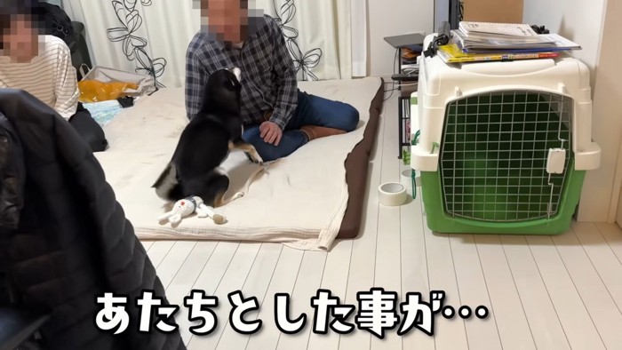 「ハッ!つい甘えてしまった…」