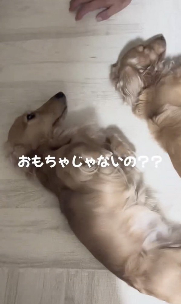 衝撃の事実！