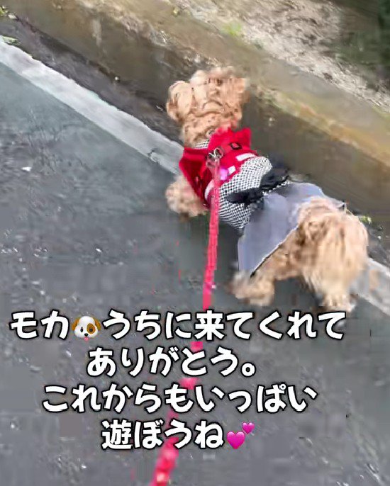 「これからもいっぱい遊ぼう！」