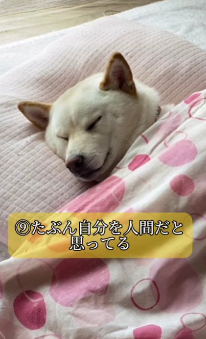 人間味あふれるはるちゃんでした！