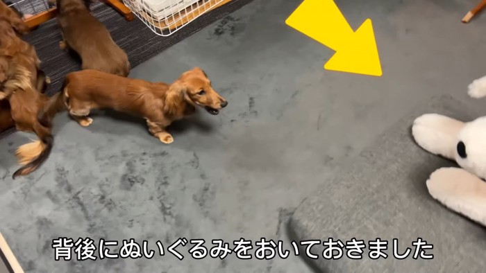 大型犬のぬいぐるみを見た三つ子ちゃん7