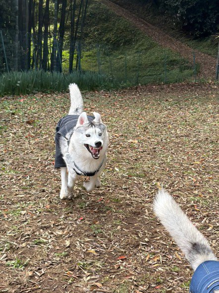 夢中になりすぎて…