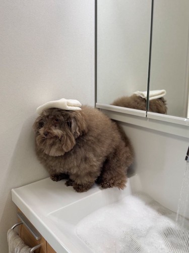 お風呂