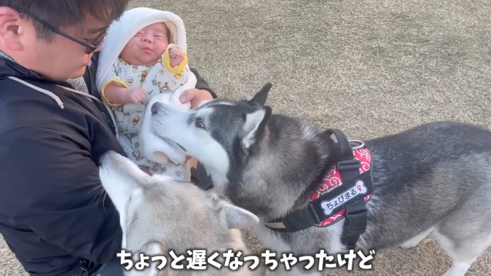 親友のちょびちゃんに赤ちゃんを紹介