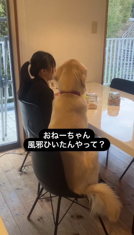 お姉ちゃん、風邪引いたんやって？