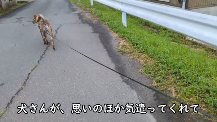 ゆっくり歩いてくれています