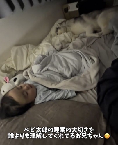 赤ちゃんの足元で伏せる犬