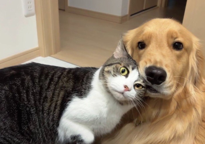 仲睦まじい姿にホッコリ