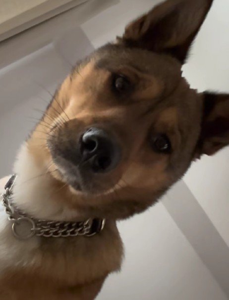 「早く起きて」