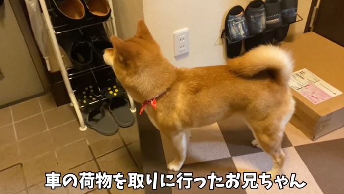 「あれ?いなくなっちゃった…」としょんぼり