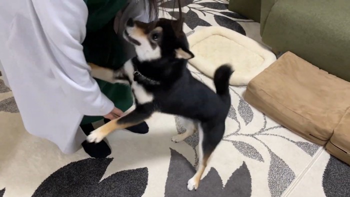 はしゃぎ始めました♪