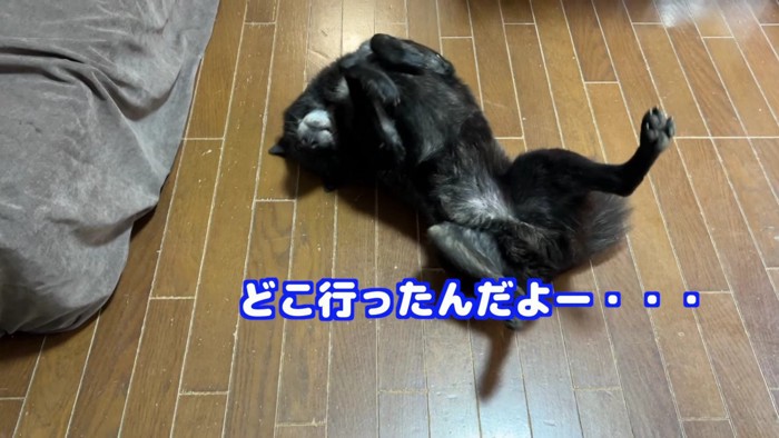 「みーちゃんとイトちゃんはどこ？」