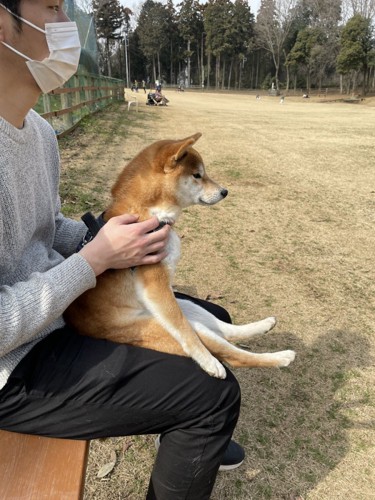 ドッグラン
