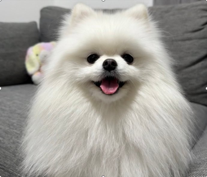 素敵な笑顔