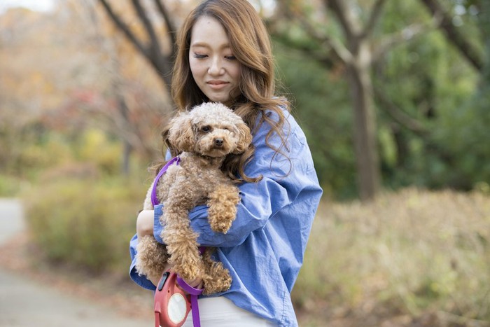 散歩中にトイプードルを抱っこする女性