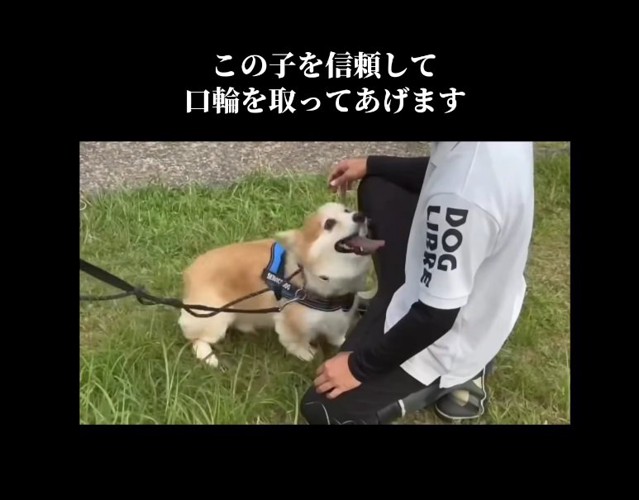 犬を信じて…口輪を取る