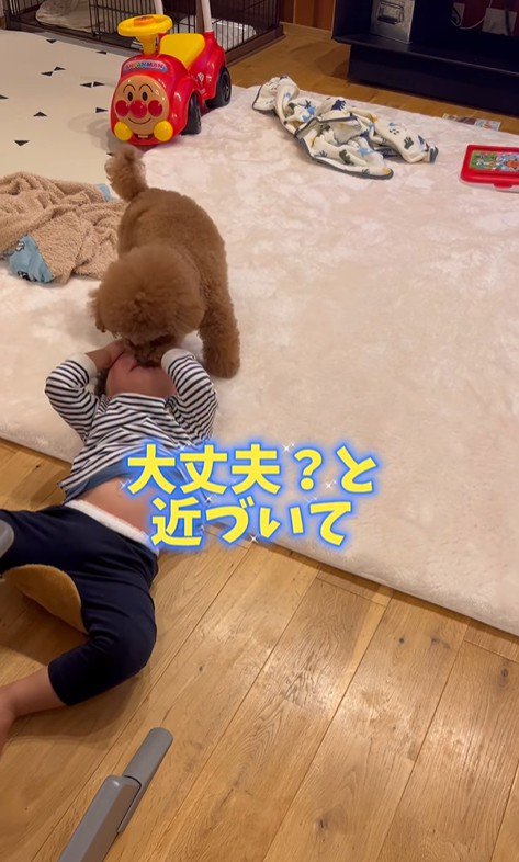 男の子を心配するレオくん2