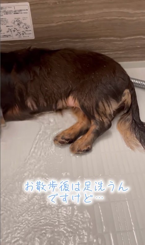 眠っちゃった！？