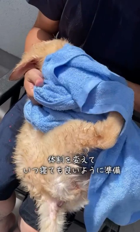 飼い主さんに抱っこされて幸せ～