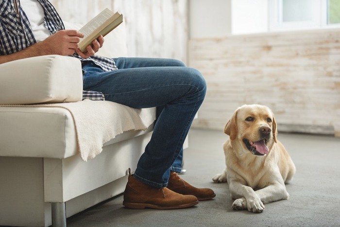 男性の足元に伏せ座りをする犬