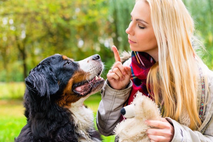 犬に指示を出す女性と真剣な表情の犬