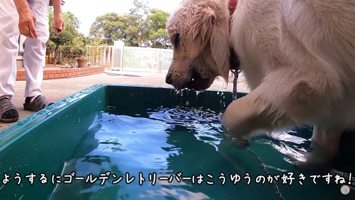 メイちゃんの水遊び7