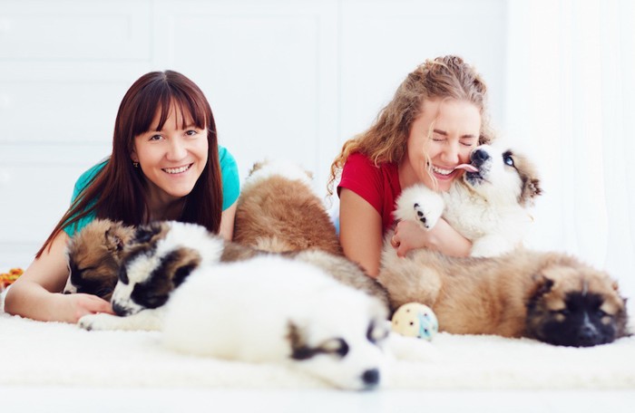 二人の女性と子犬たち