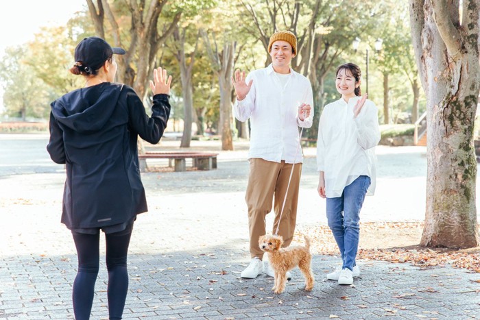 散歩中の犬と触れ合う