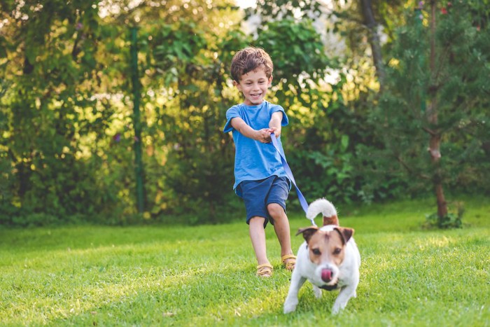 犬のリードを引っ張る男の子