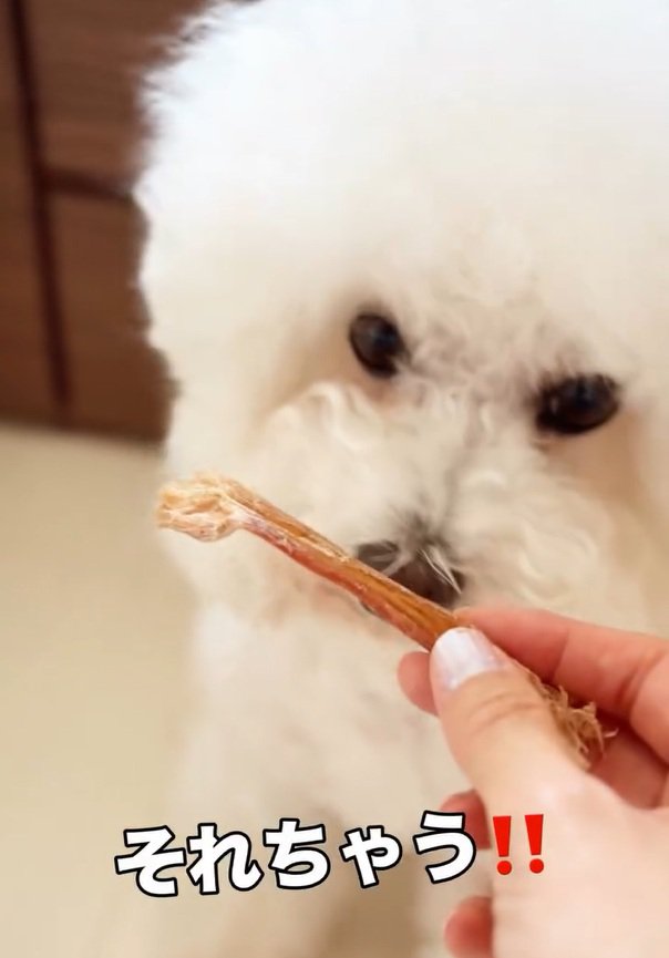 怒るまるちゃん