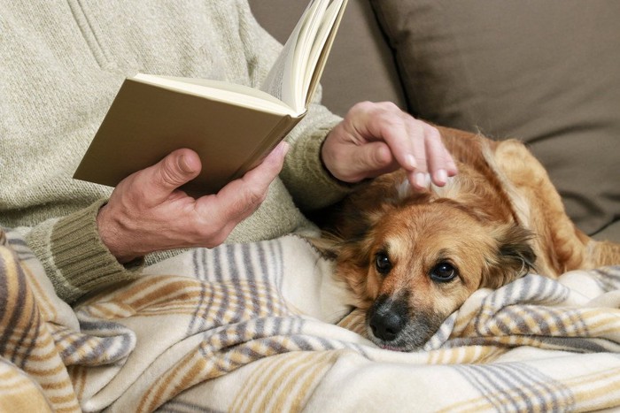 家でくつろぐ人と犬