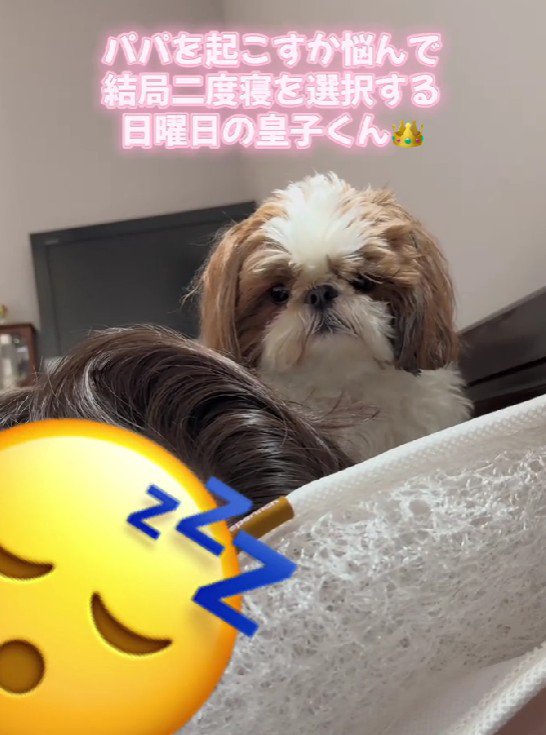 パパを起こそうと寝室へ