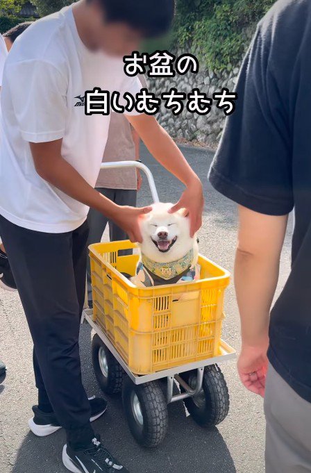 終始ニコニコのごん太くん