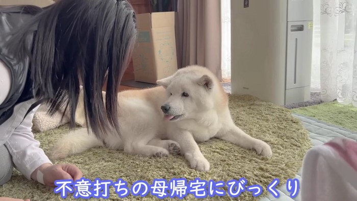 不意打ちの帰宅にびっくり