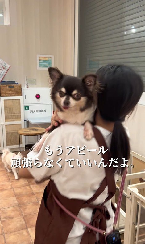 イブちゃんが幸せを掴むまで9