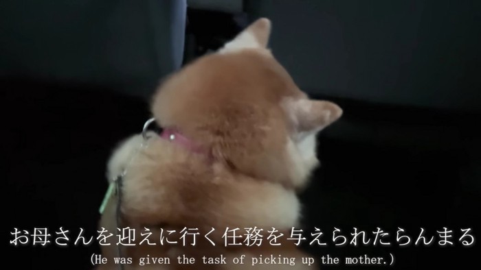 大雪の空港へ…