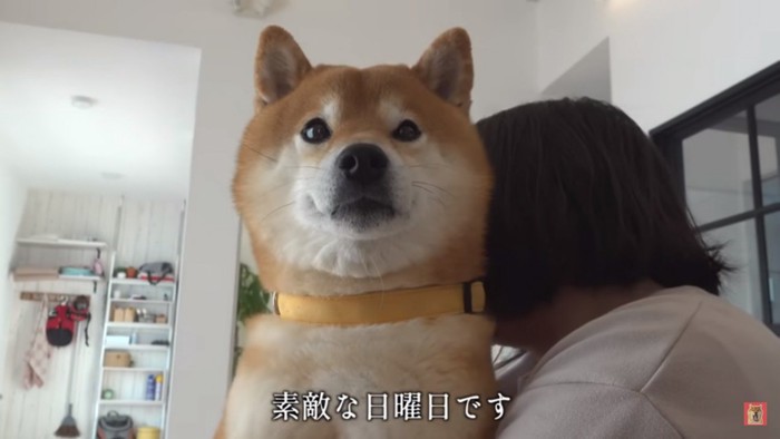 ママに抱っこされるはちくん