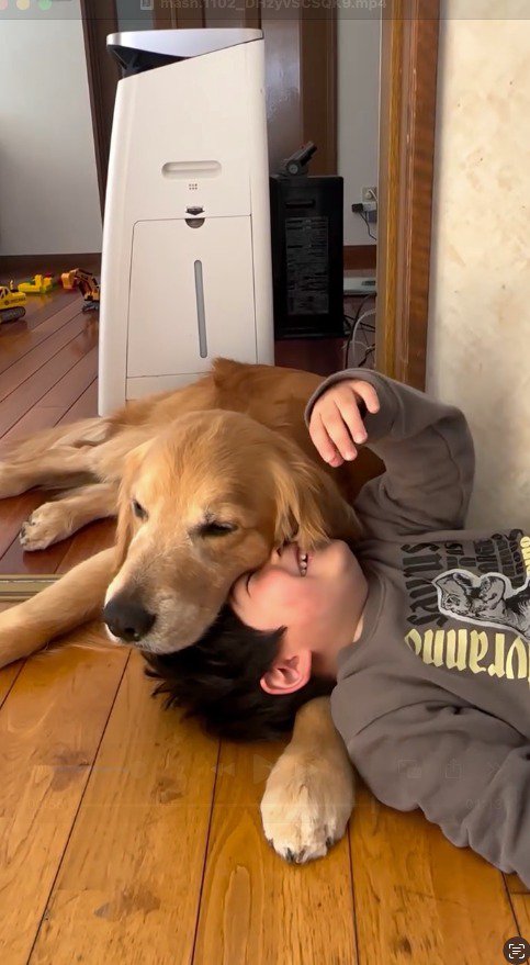 犬に頭を乗せられて笑う男の子