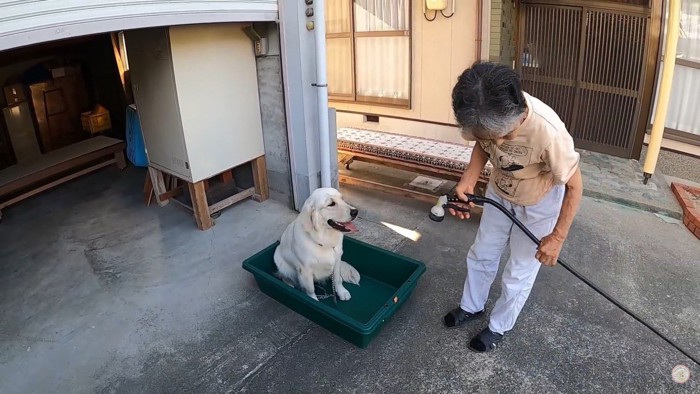 メイちゃんの水遊び2