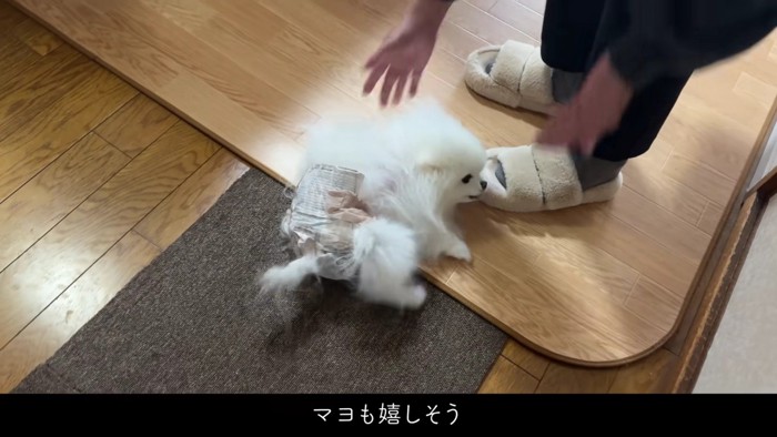 涙腺がゆるみます…♡