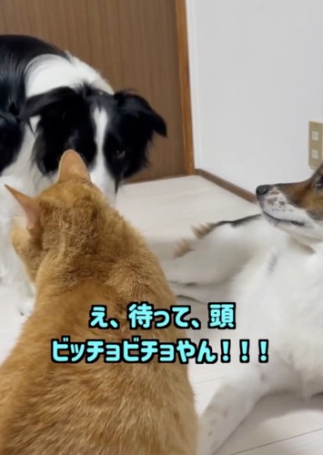 驚きのあまり四度見！