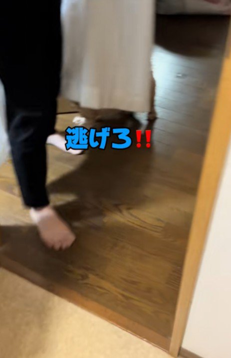 「さよなら～」