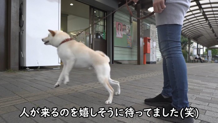 人が通ると大はしゃぎ！