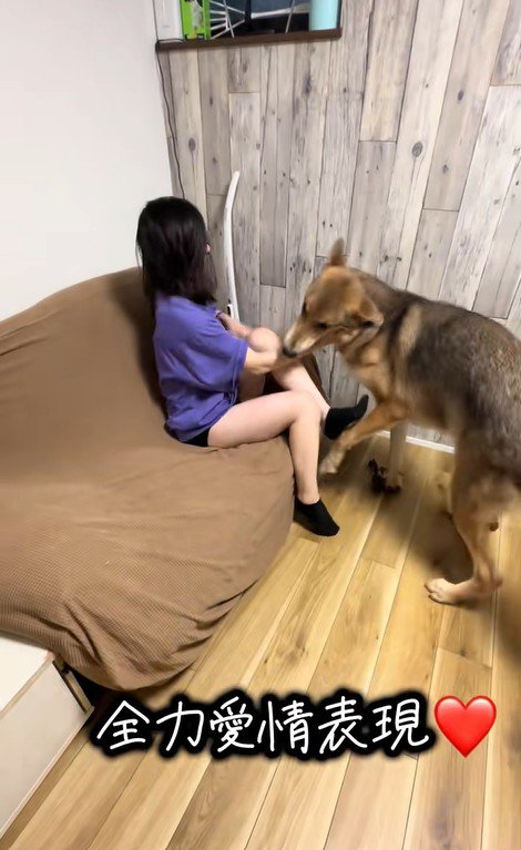つな君の愛情表現8