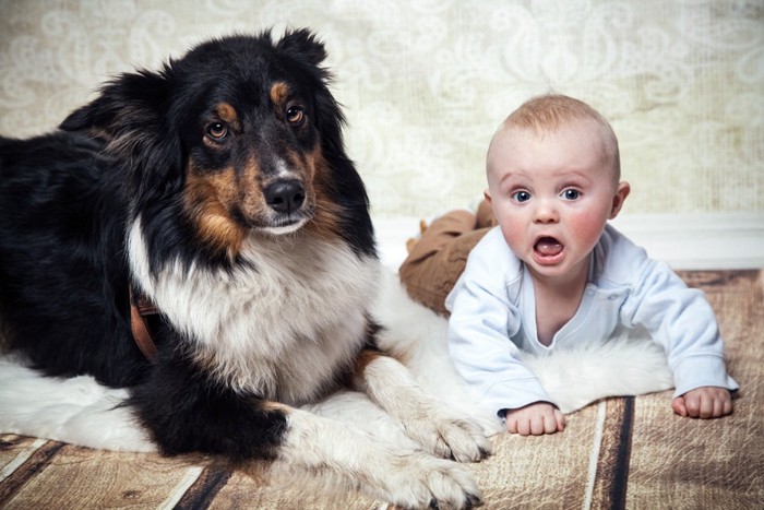 赤ちゃんと犬