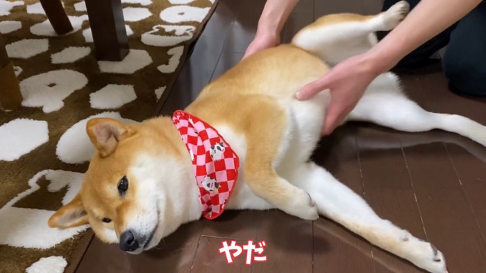 「すき焼きくれない人には抱っこさせない!」