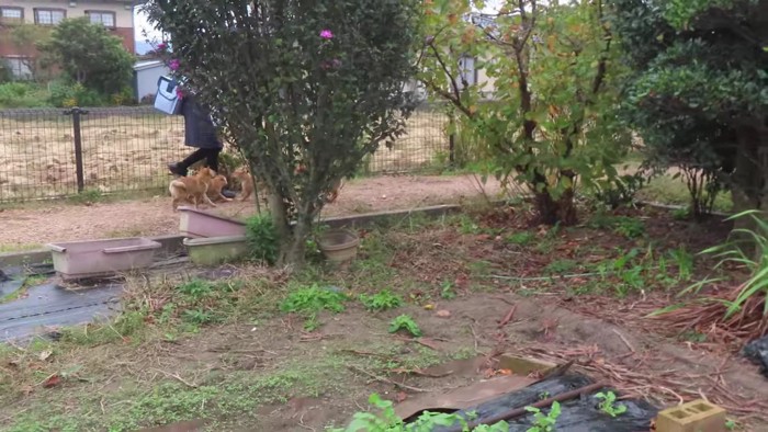 「こんにちは！」