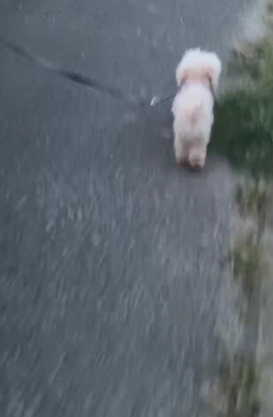 まさかの出来事が！！