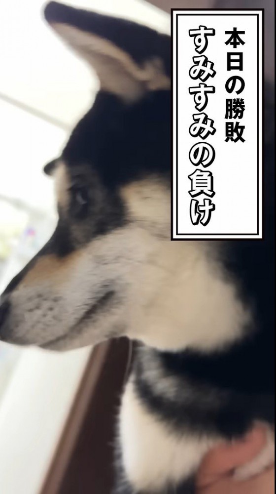 ようやく捕獲成功!