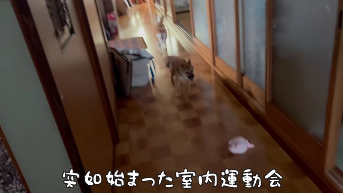 すぐに慣れちゃった！！